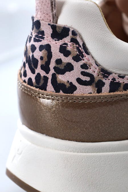 Xsensible Grenoble Stretchwalker Dames Afbeelding
